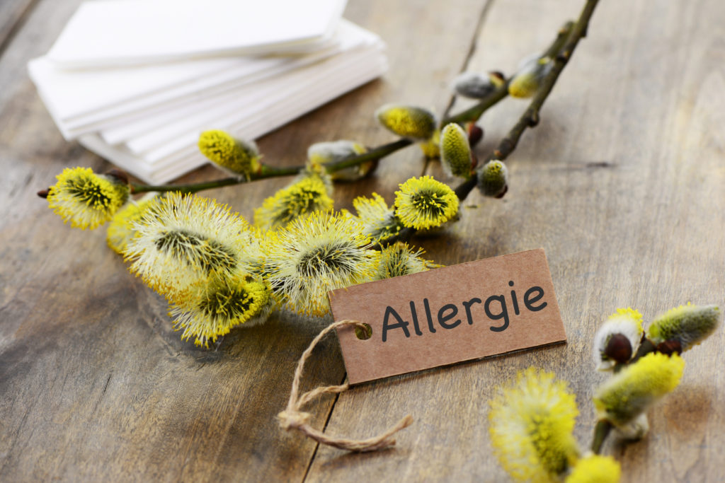 Remède naturel allergies printemps