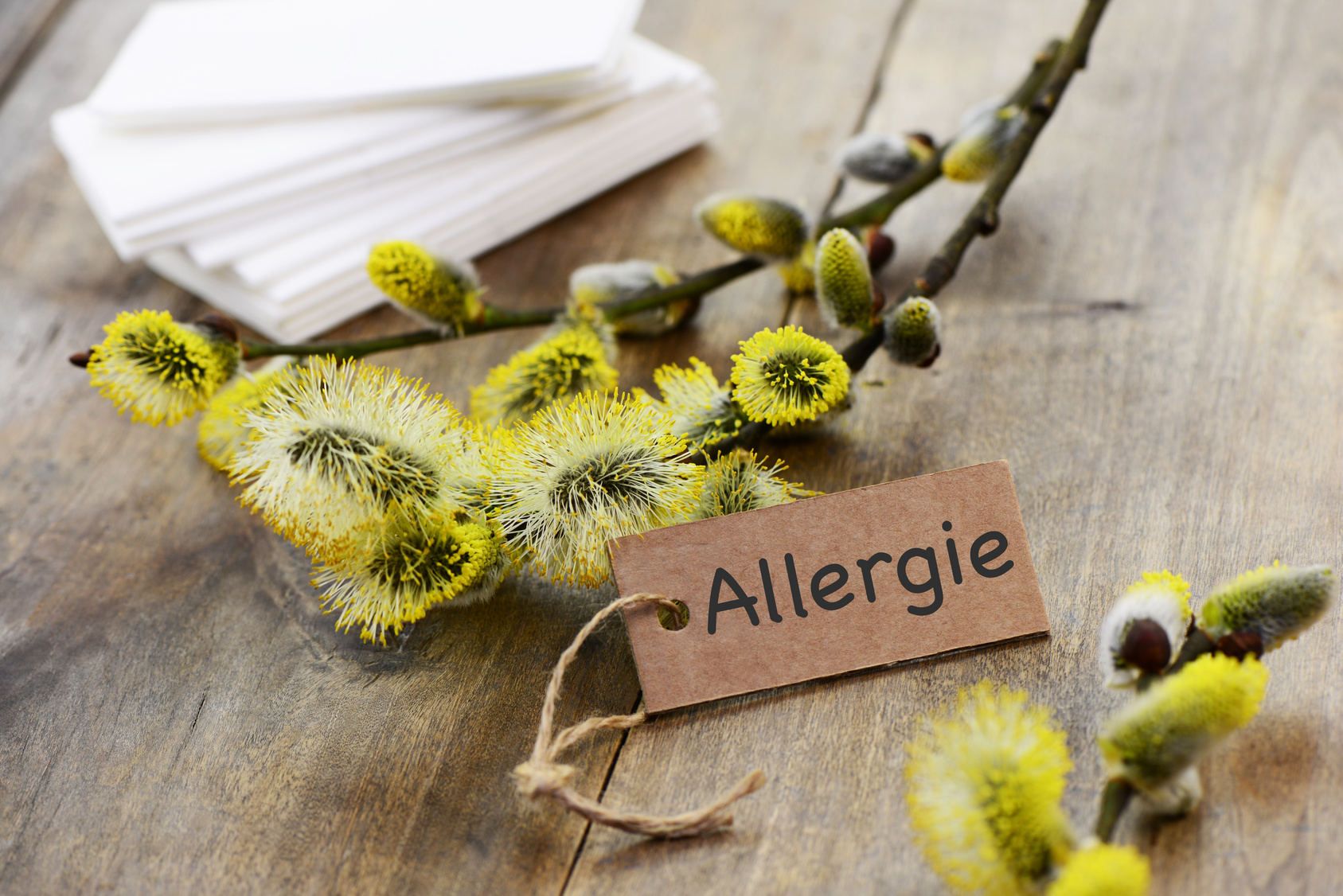 Pollens en vue ! Comment lutter contre les allergies au naturel ?