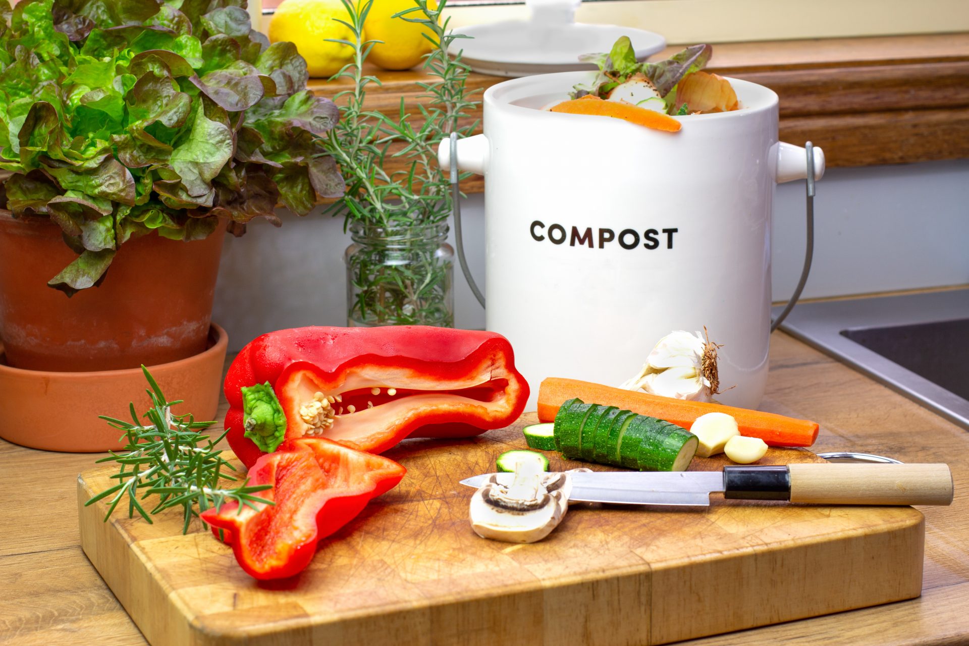 Le compost : une saine idée pour la terre !