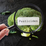 L’utilisation des pesticides en France en forte hausse : soutenons le bio