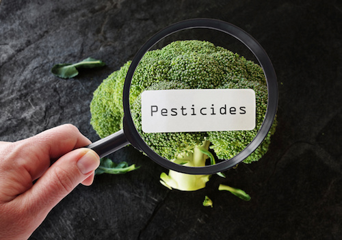 L’utilisation des pesticides en France en forte hausse : soutenons le bio !