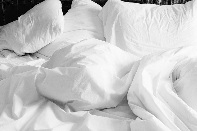 Comment se débarrasser naturellement des punaises de lit ?