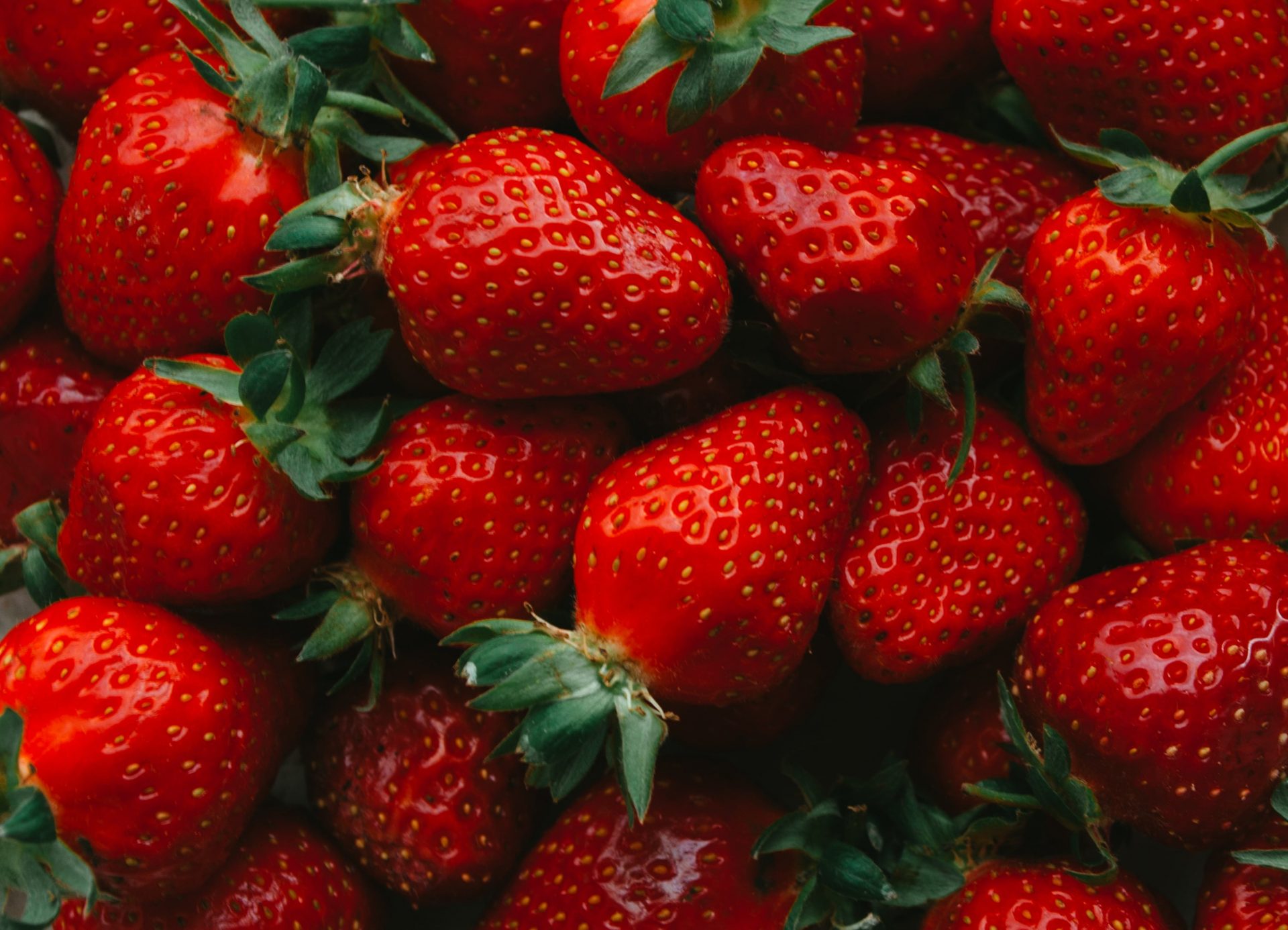 Une envie de fraises ? Régalez-vous !