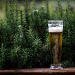 Les bières bio se diversifient