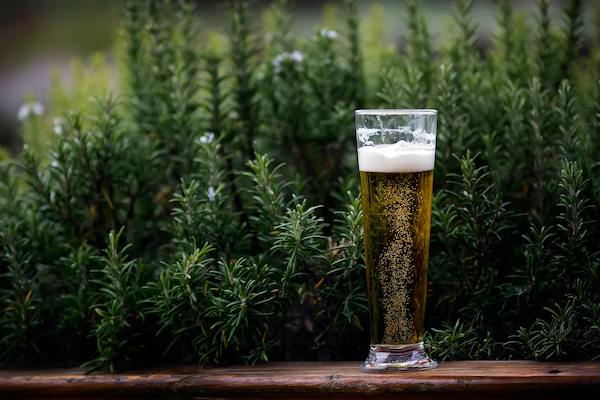 Les bières bio se diversifient