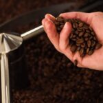 [FOCUS SUR…] BIODYSSÉE